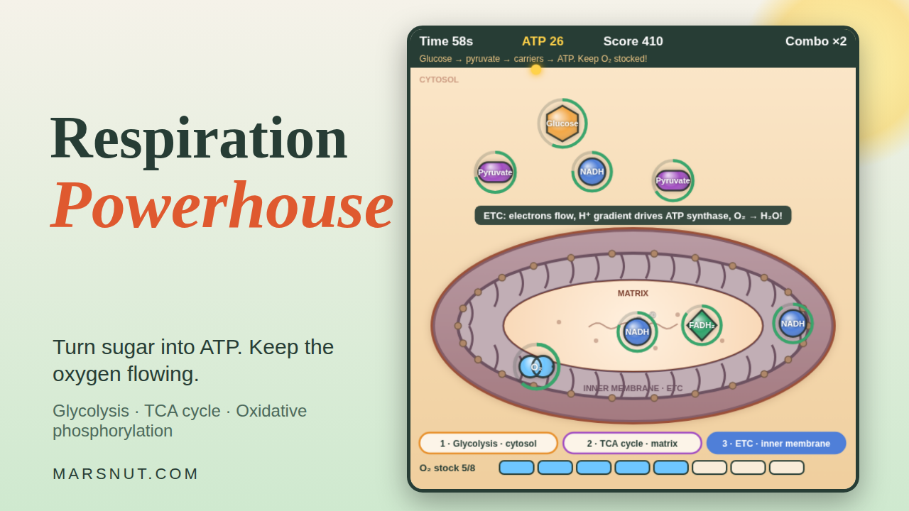 Respiration Powerhouse cover